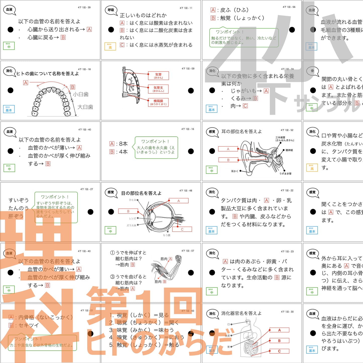 (暗記カード)4年生上下理社全セット(上期1~19回、下期1~18回)