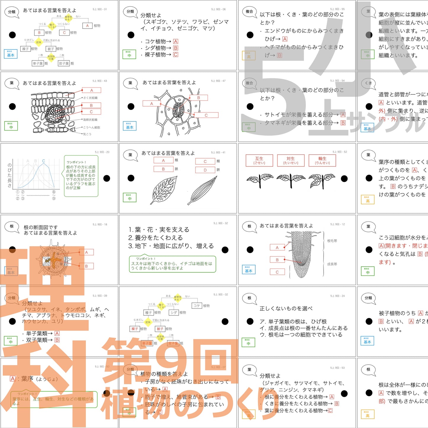 (暗記カード)5年生上下理社全セット(上期1~19回、下期1~18回)