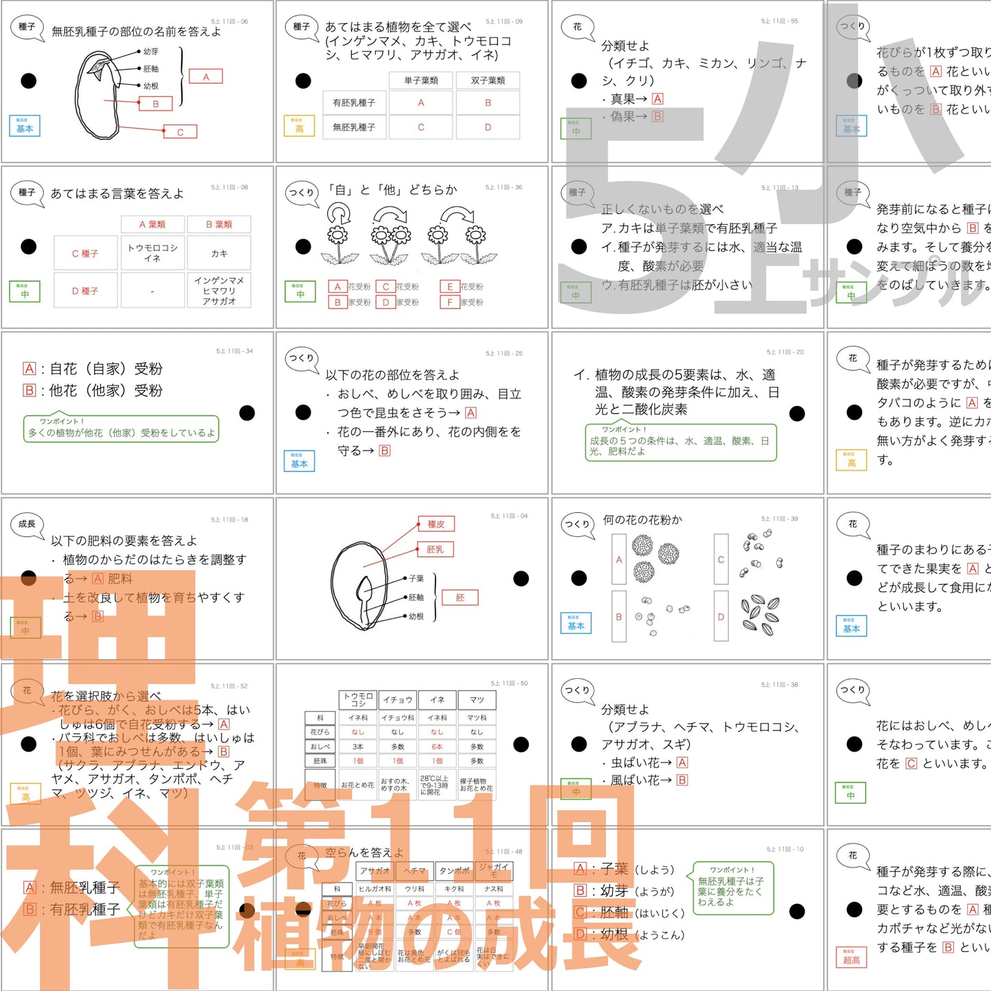 (暗記カード)5年上 理科 全セット 1-19回