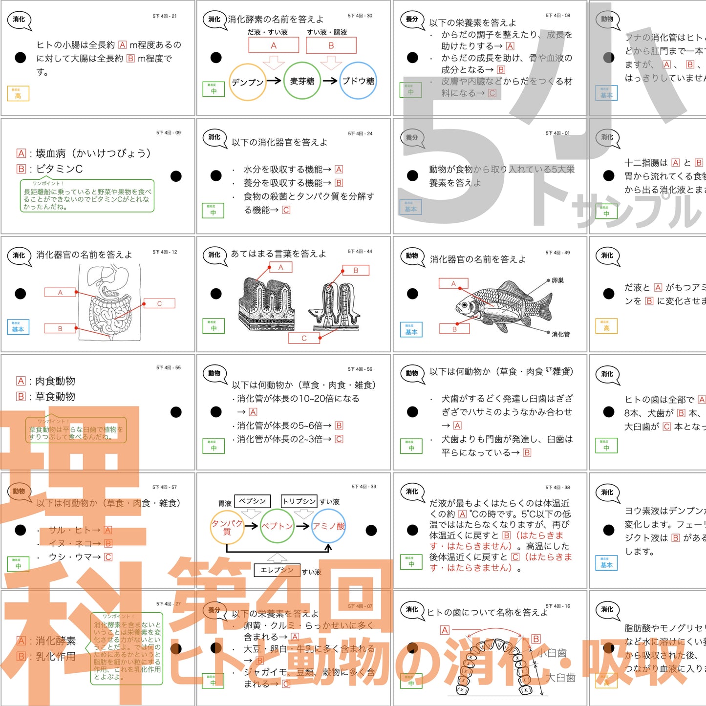 (暗記カード)5年生上下理社全セット(上期1~19回、下期1~18回)