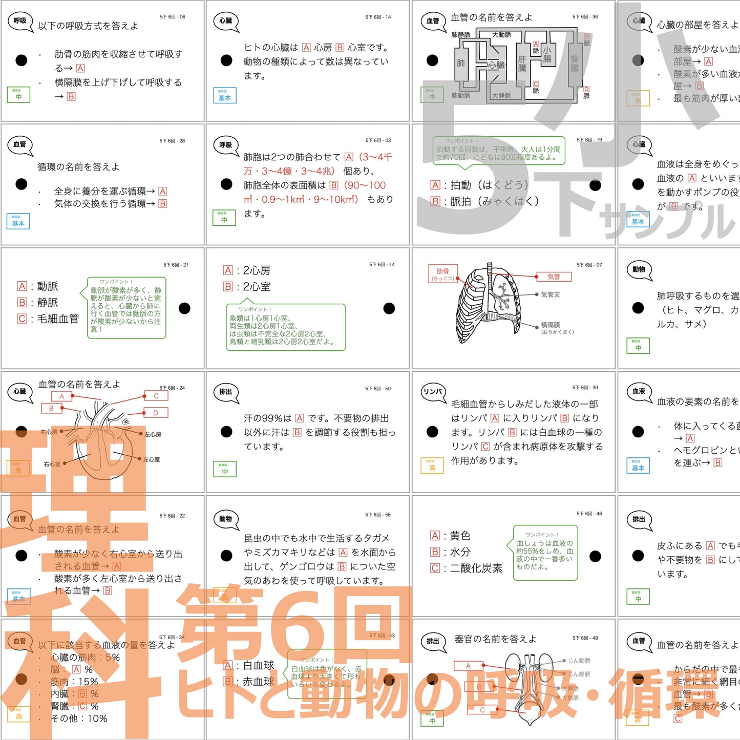 (暗記カード)5年下 社会・理科 6-9回セット