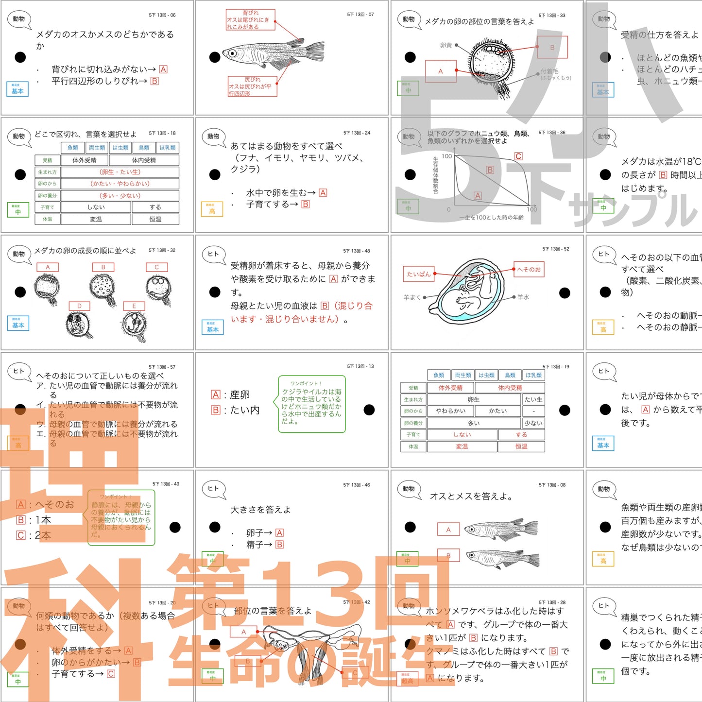 (暗記カード)5年下 理科 11-14回セット
