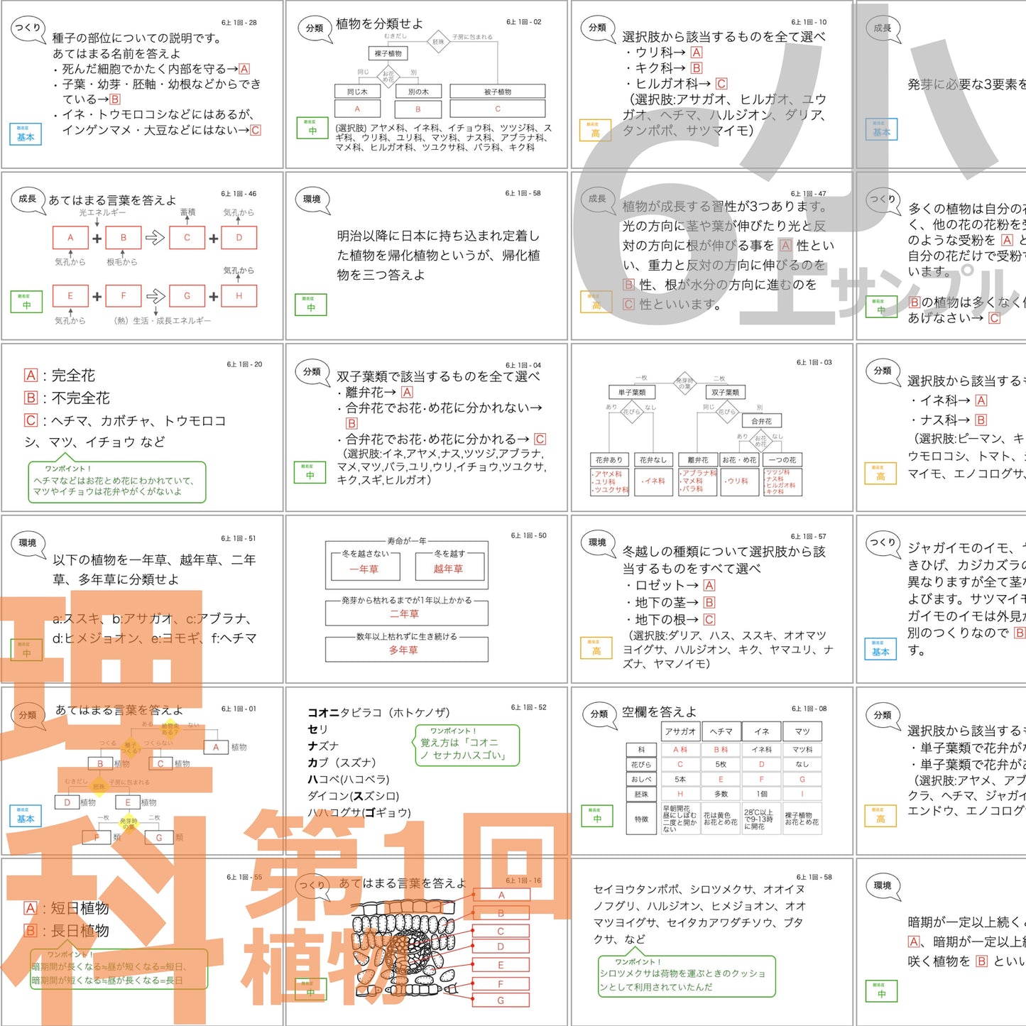(暗記カード)6年上 理科 ハーフセット 1-8回