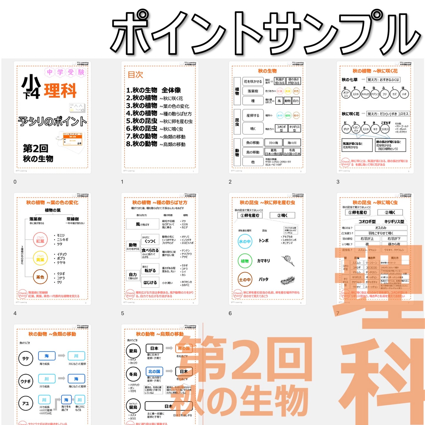 (PDF 予シリのポイント)4年下 理科 第2回(生物) 秋の生物 ダウンロードファイル