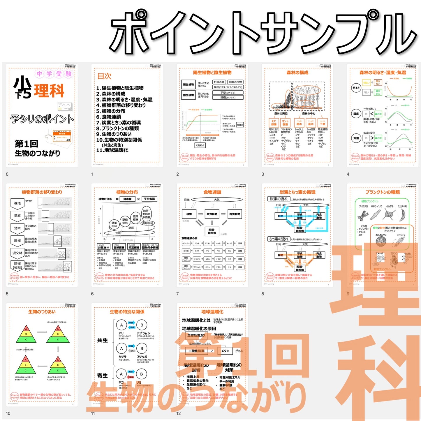 (PDF 予シリのポイント)5年下 理科 第1回(生物) 生物のつながり ダウンロードファイル