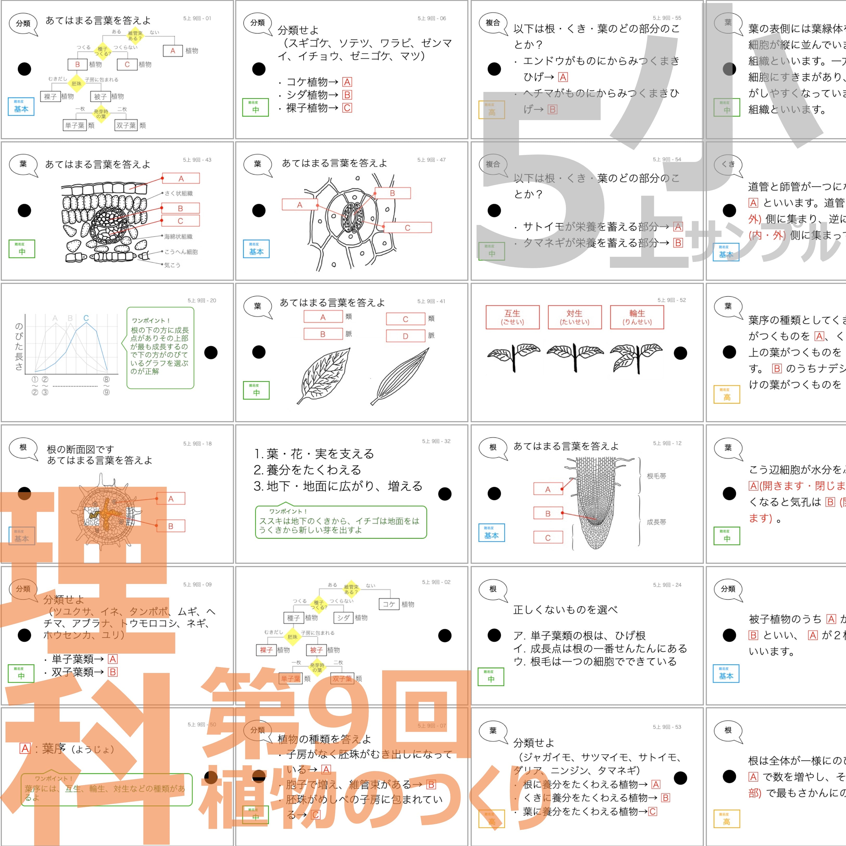 中学受験 暗記カード）5年上 理科 全セット 1-19回 – TT1-Learning 中学受験のお店