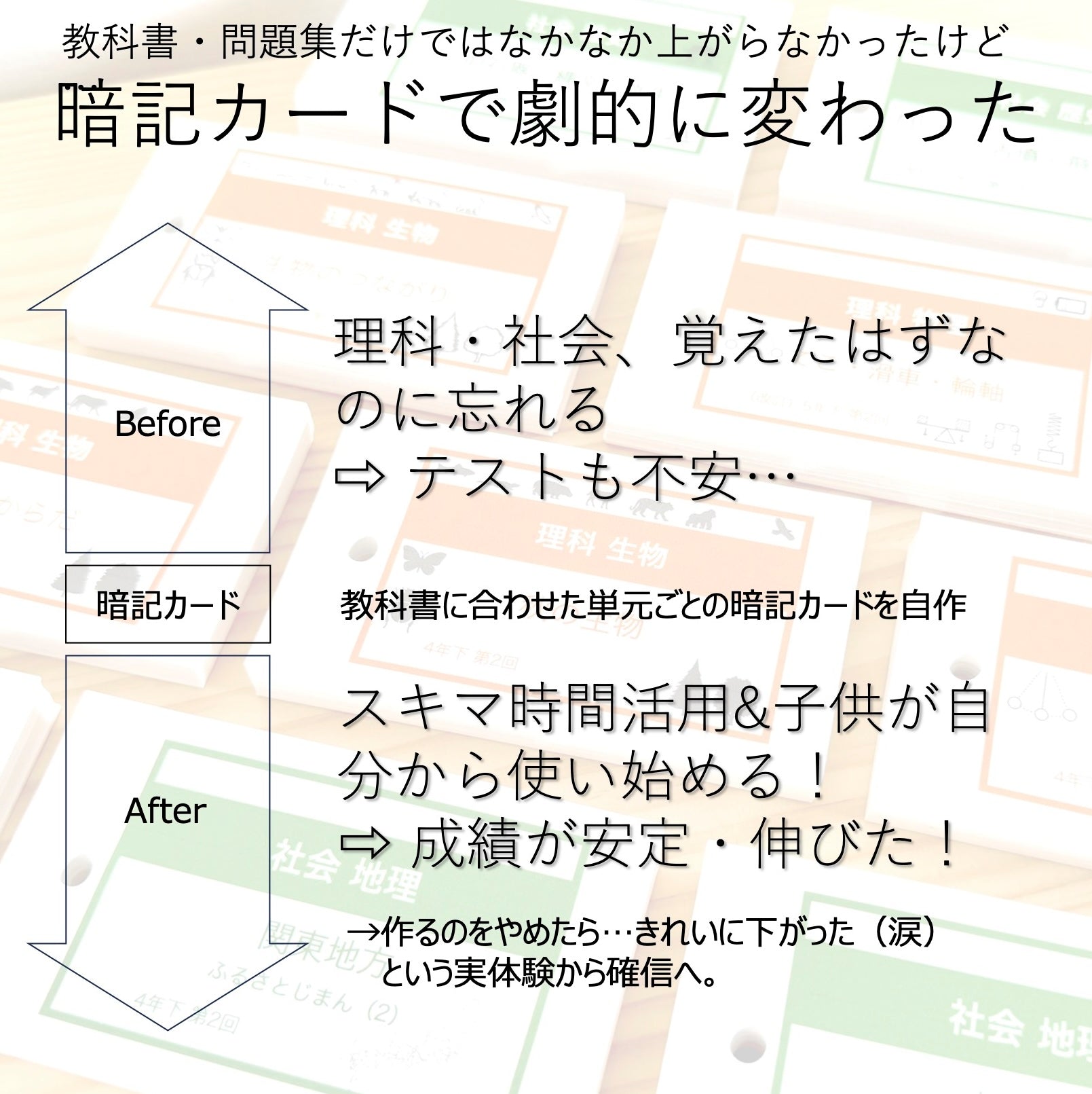 中学受験 暗記カード）5年上 社会・理科 16-19回セット – TT1