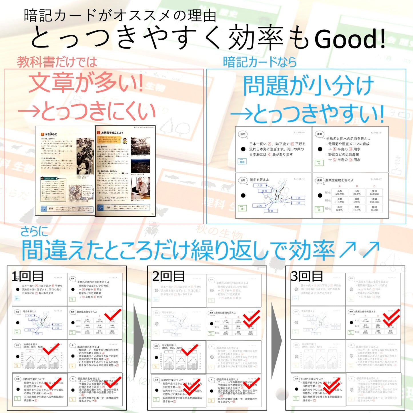 （暗記カード）4年下 理科1-9回 (ハーフセット)