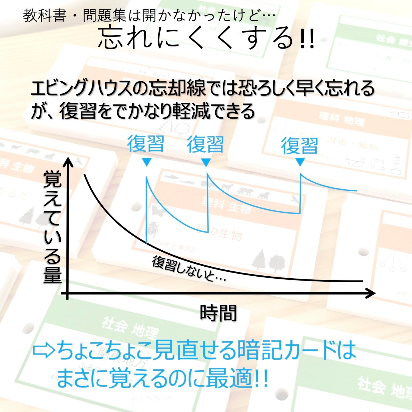 （暗記カード）4年下 国語 1-4回セット