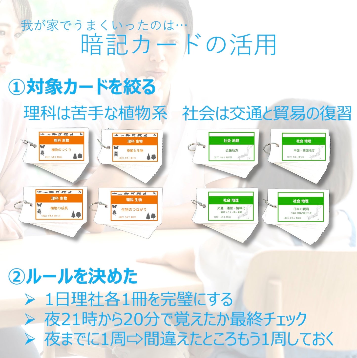 （暗記カード）6年上 理科 ハーフセット 10-17回