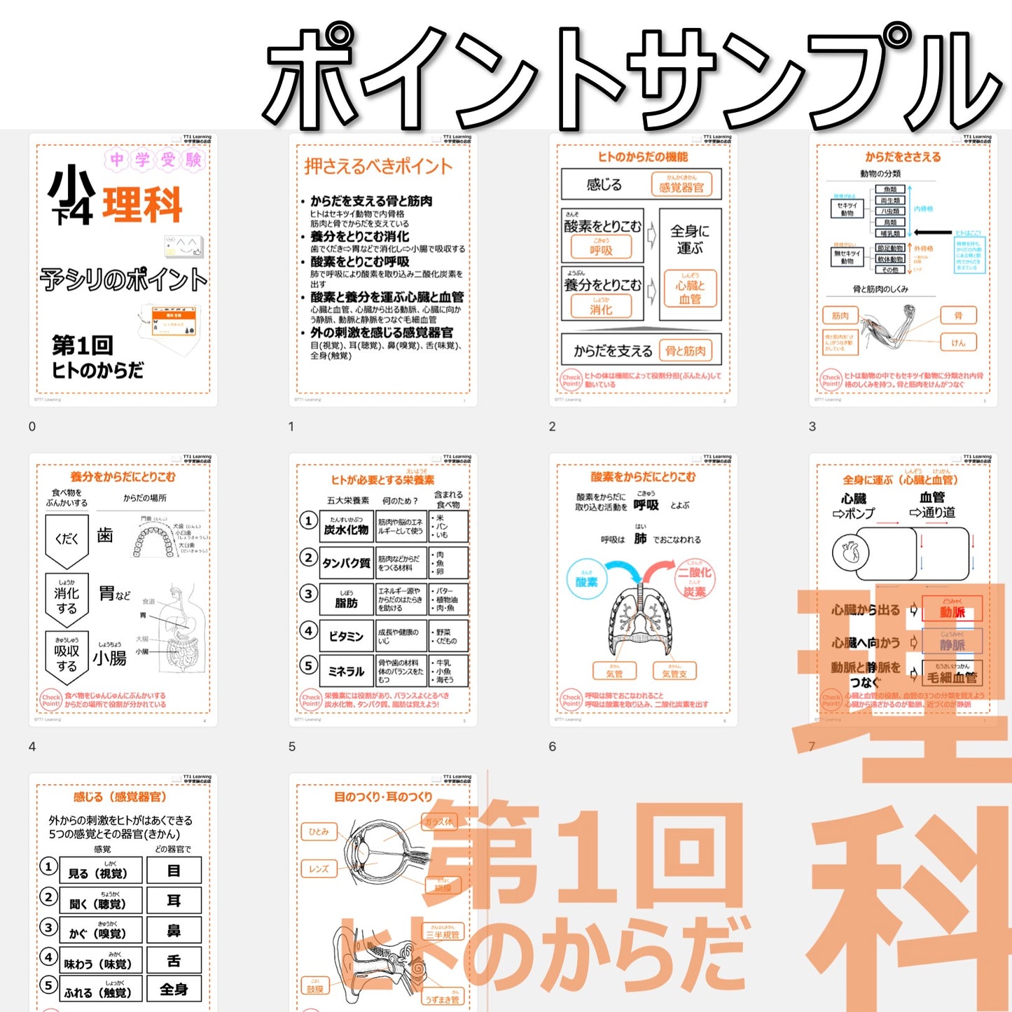 （PDF 予シリのポイント）4年下 理科 第1回(生物) ヒトのからだ ダウンロードファイル