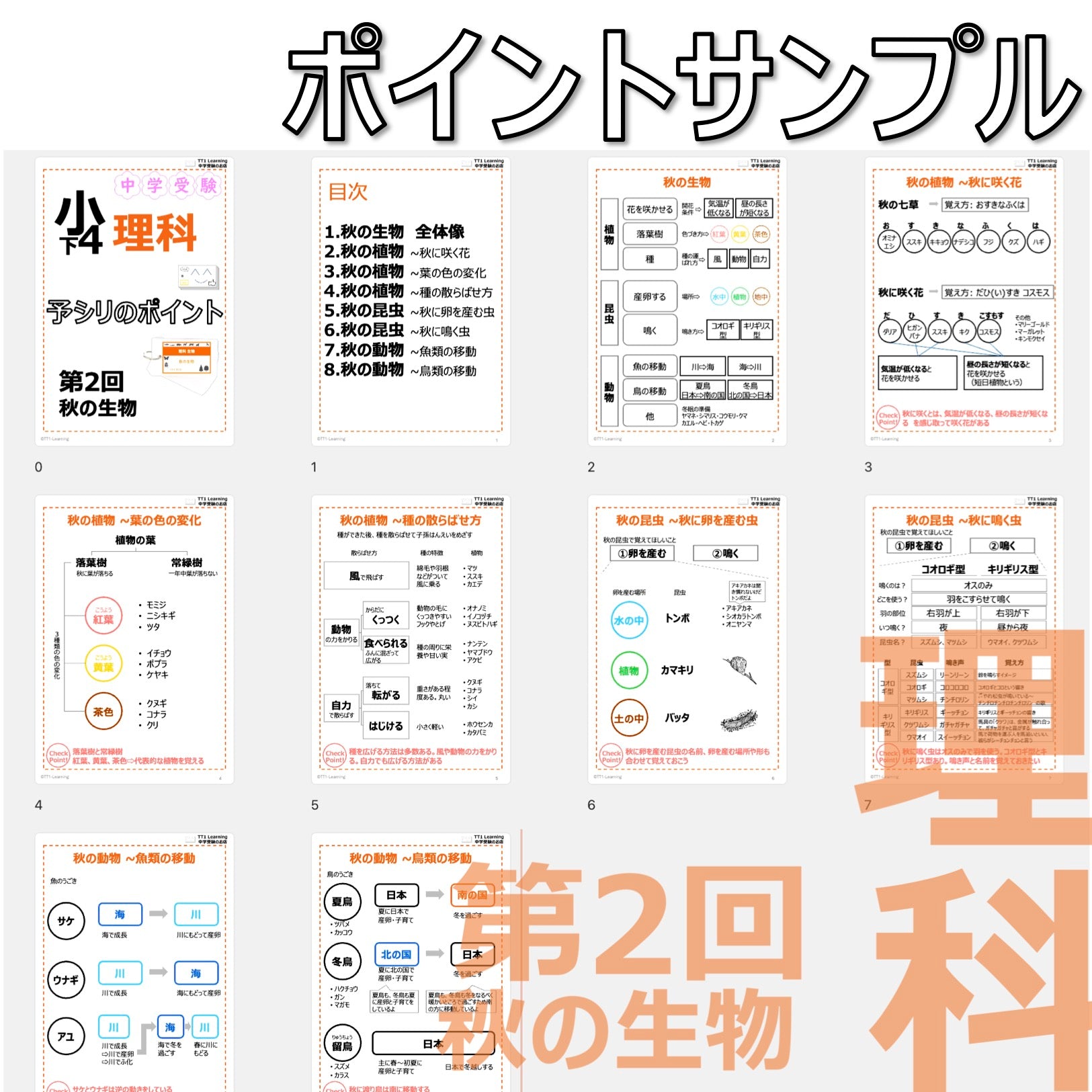 PDF 予シリのポイント）4年下 理科 第2回(生物) 秋の生物 ダウンロード
