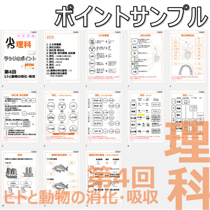（PDF 予シリのポイント）5年下 理科 第4回(生物) ヒトと動物の消化・吸収 ダウンロードファイル