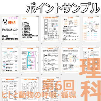 （PDF 予シリのポイント）5年下 理科 第6回(生物) ヒトと動物の呼吸・循環 ダウンロードファイル